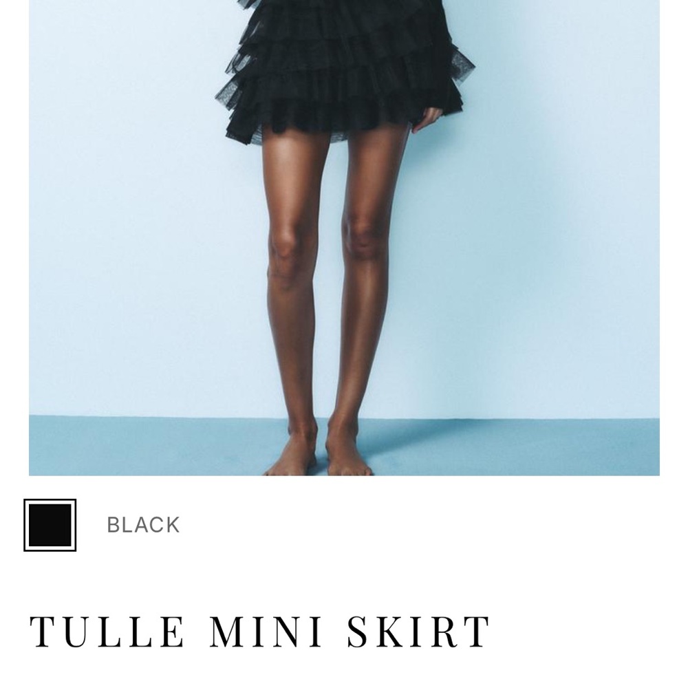 Zara Black Tulle Mini Skirt